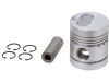 Piston