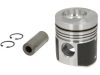 Piston (fără segmenți)