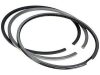 Segment piston