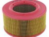 Filtru de aer 1D81-1D90