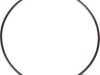 O-ring