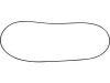 O-ring