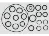 Set o-ringuri pentru AR202 / 252
