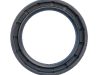 Oil seal