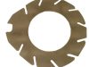 Disc intermediar