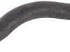 Furtun superior radiator