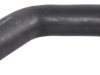 Furtun superior radiator