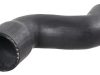 Furtun radiator