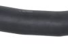 Furtun radiator