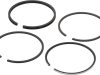 Piston - set 4 segmenți