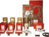 Set de reparație motor