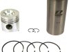 Set piston și cămașă