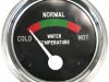 Indicator temperatură